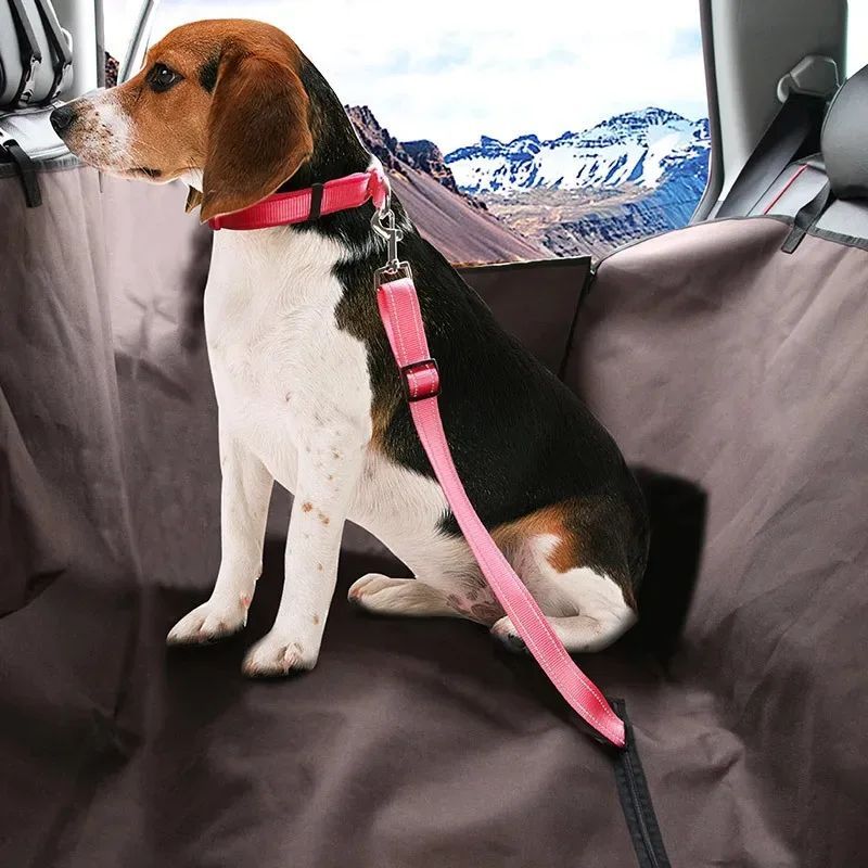 Adjustable Dog Car Seat Belt Leash
